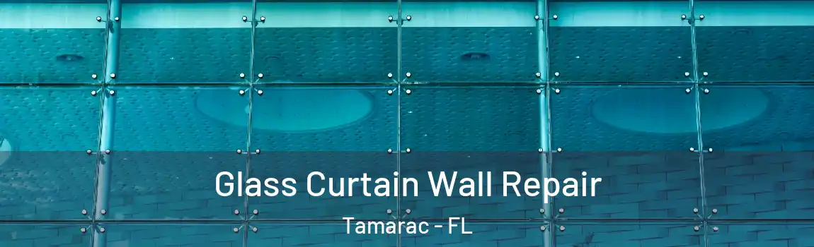  Glass Curtain Wall Repair Tamarac - FL